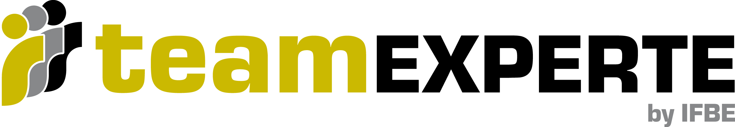 Logo teamEXPERTE